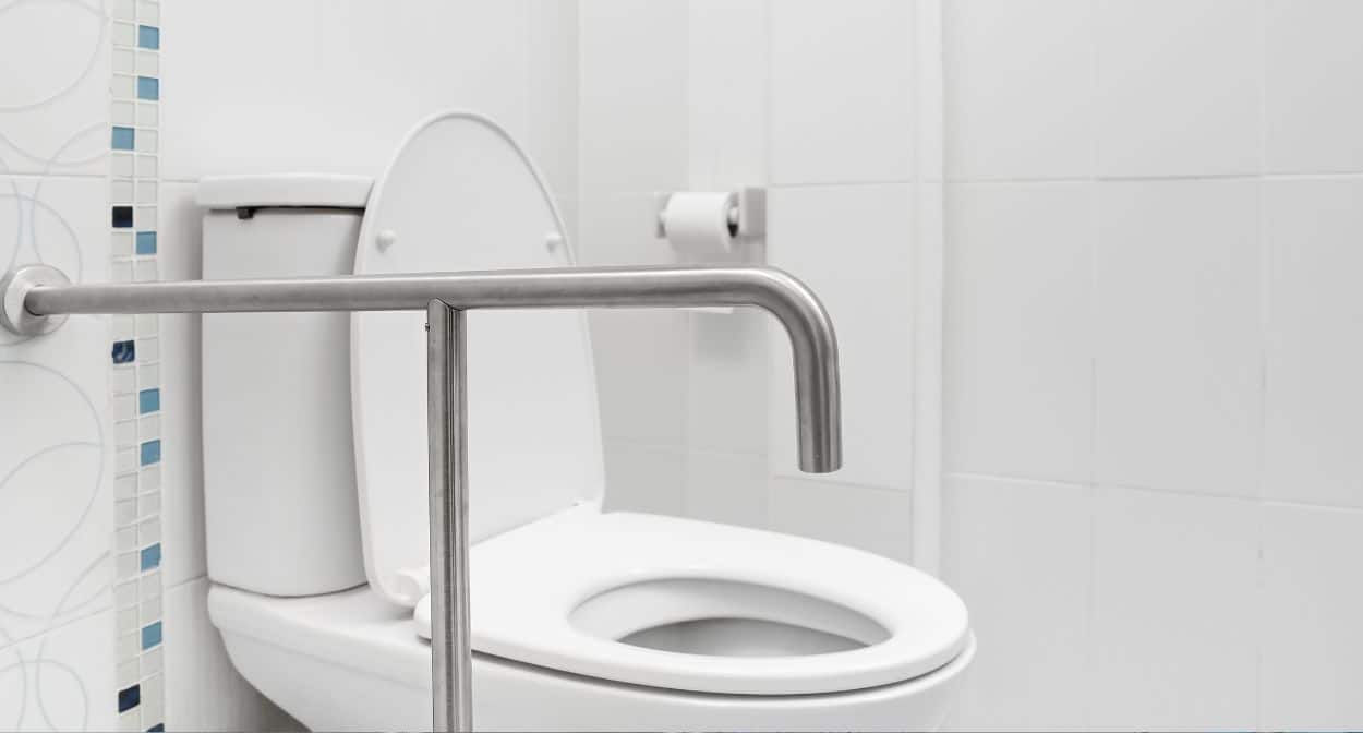 Factors to Consider When Choosing a Toilet Aid