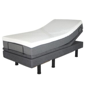 Passport Bed (Twin XL)